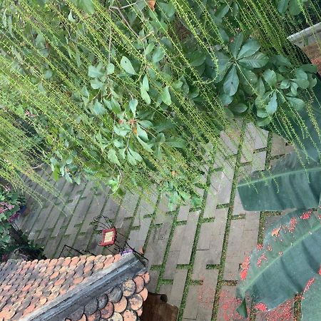 The An Homestay مدينة هوشي منه المظهر الخارجي الصورة