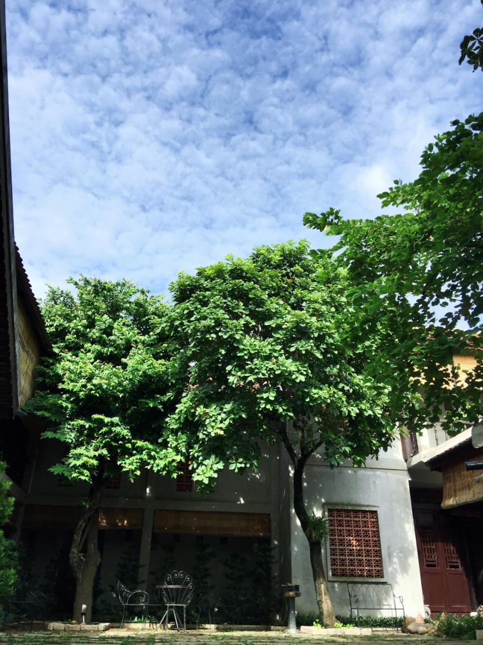 The An Homestay مدينة هوشي منه المظهر الخارجي الصورة