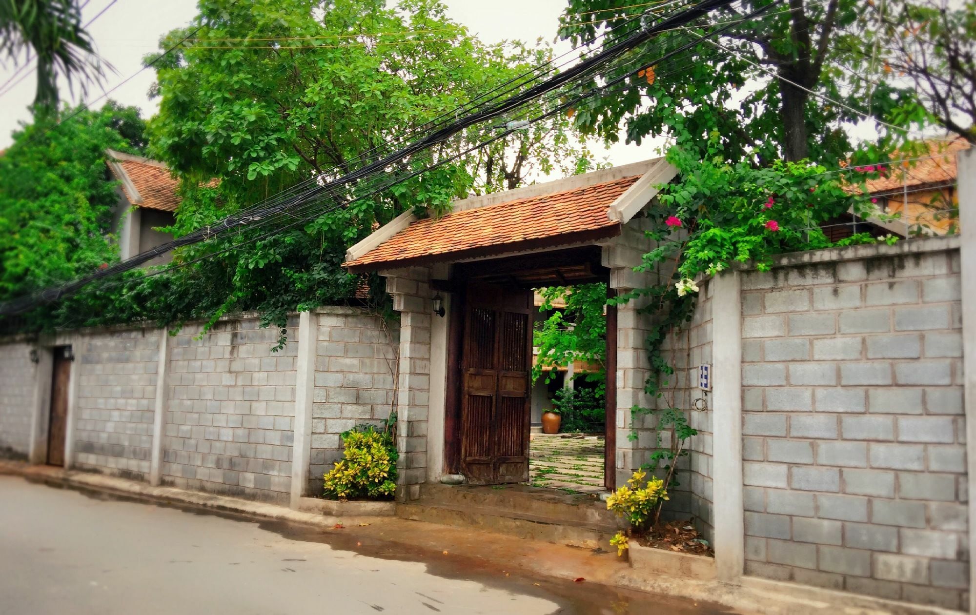 The An Homestay مدينة هوشي منه المظهر الخارجي الصورة